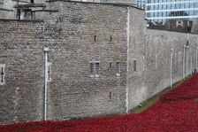Blood Swept Lands and Seas of Red Tower of London, 2014. Artist: Sheldon Marshall