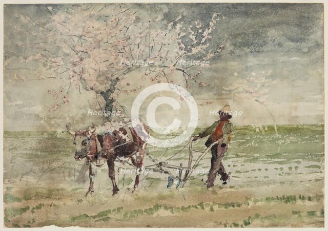 Blossom Time in Virginia, 19th century. Creator: Winslow Homer.