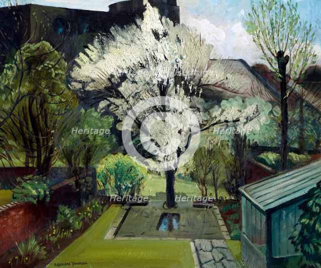 Blossom in a London garden, 1930s. Creator: Robert Kirkland Jamieson.