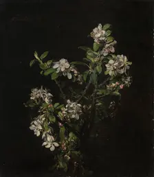 Blossoming branch of an apple tree, 1875. Creator: Henri Fantin-Latour