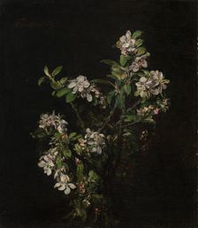 Blossoming branch of an apple tree, 1875. Creator: Henri Fantin-Latour