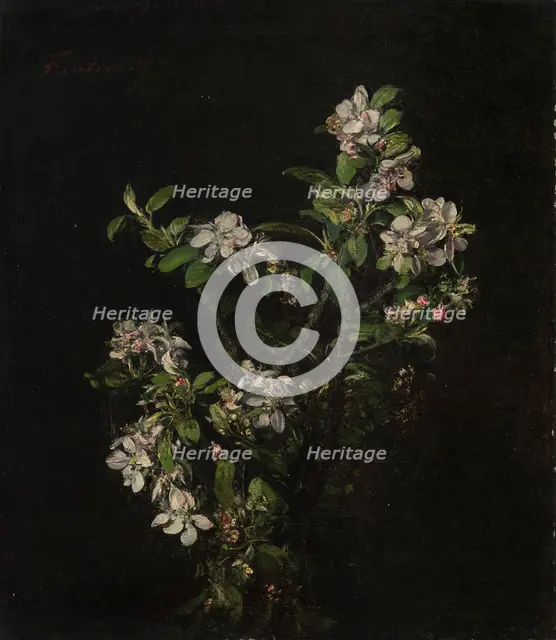 Blossoming branch of an apple tree, 1875. Creator: Henri Fantin-Latour.