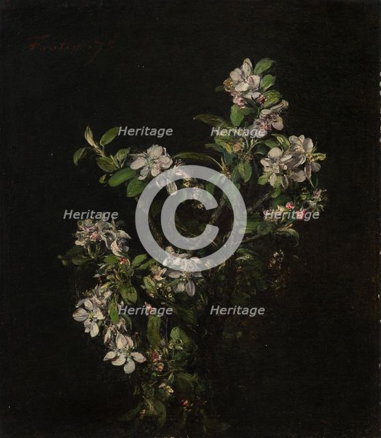 Blossoming branch of an apple tree, 1875. Creator: Henri Fantin-Latour.