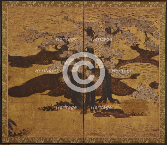 Blossoming cherry trees, Edo period, ca.1580-1635. Creator: Kano Sanraku.