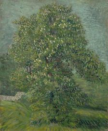 Blossoming Chestnut Tree, 1887. Creator: Gogh, Vincent, van (1853-1890)