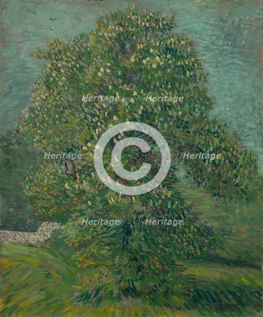 Blossoming Chestnut Tree, 1887. Creator: Gogh, Vincent, van (1853-1890).
