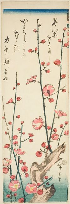 Blossoming plum branches, c. 1843/47. Creator: Ando Hiroshige