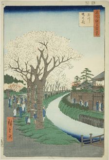 Blossoms on the Tama River Embankment (Tamagawa-zutsumi no hana), from the series..., 1856. Creator: Ando Hiroshige