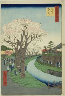 Blossoms on the Tama River Embankment (Tamagawa-zutsumi no hana), from the series..., 1856. Creator: Ando Hiroshige