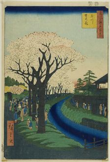 Blossoms on the Tama River Embankment (Tamagawa-zutsumi no hana), from the series..., 1856. Creator: Ando Hiroshige