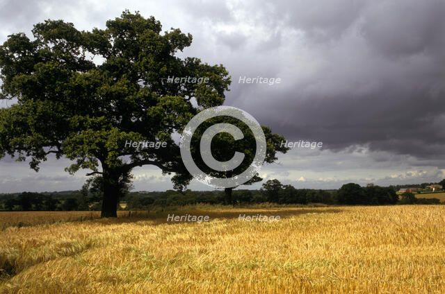 Blore Heath Battlefield, Staffordshire, 1993. Artist: Unknown