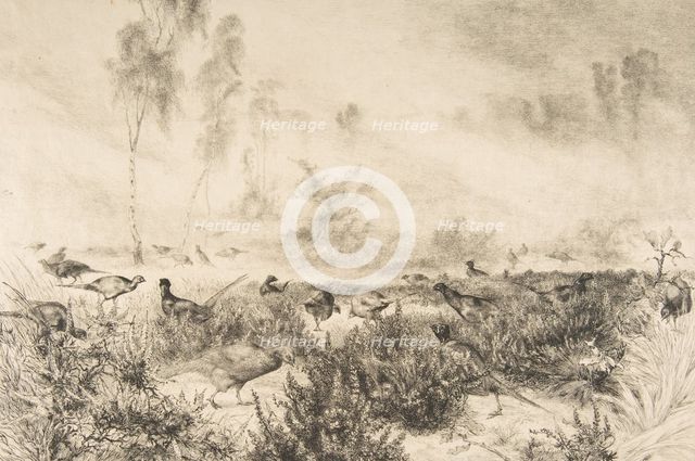 Brumes du matin, 1882. Creator: Felix Bracquemond.
