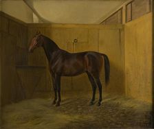 Bruno, 1848. Creator: Fritz Thomsen