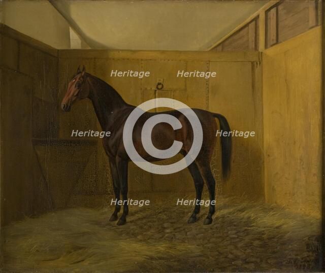 Bruno, 1848. Creator: Fritz Thomsen.