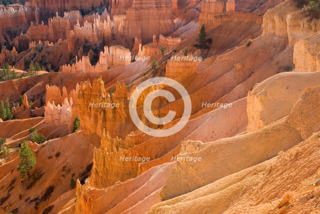 Bryce Canyon. Creator: Tom Artin.