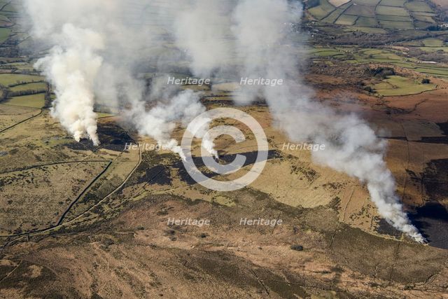 Bracken or gorse burning, known as swaling, on Dartmoor, Devon, 2025. Creator: Damian Grady.