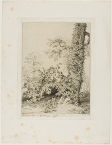Bramble and Ivy, 1845. Creator: Eugene Blery