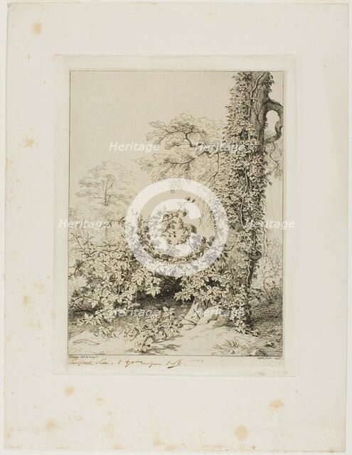 Bramble and Ivy, 1845. Creator: Eugene Blery.