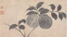 Branch of Fruit Bearing Tree, unknown date, c1450-1509. Creator: Shen Zhou