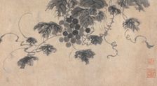 Branch of Fruit Bearing Tree, unknown date, c1450-1509. Creator: Shen Zhou