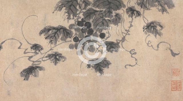 Branch of Fruit Bearing Tree, unknown date, c1450-1509. Creator: Shen Zhou.
