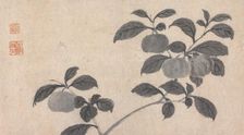 Branch of Fruit Bearing Tree, c16th century. Creator: Unknown