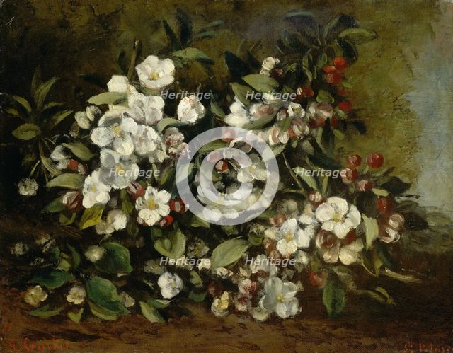 Branche de pommier en fleurs, 1872.