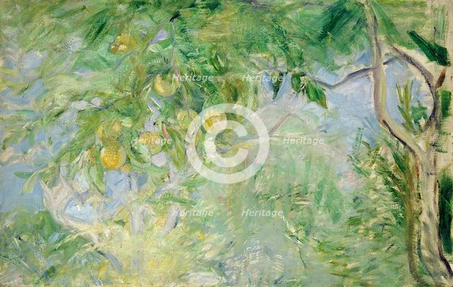 Branches d'oranger, 1889. Creator: Morisot, Berthe (1841-1895).