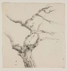 Branches of a Tree, c1830s. Creator: Thomas Cole