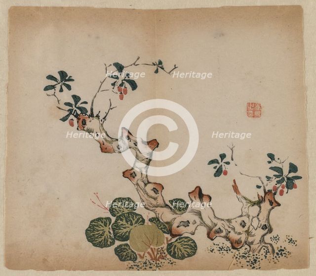 Branching Stump, 1368-1644. Creator: Unknown.