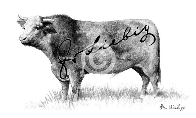 Branding Cattle, 1898. Creator: Unknown.