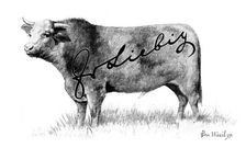 Branding Cattle, 1898. Creator: Unknown