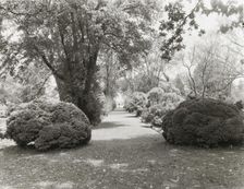 "Brandon," Robert Williams Daniel house, Prince George County, Virginia, 1928. Creator: Frances Benjamin Johnston