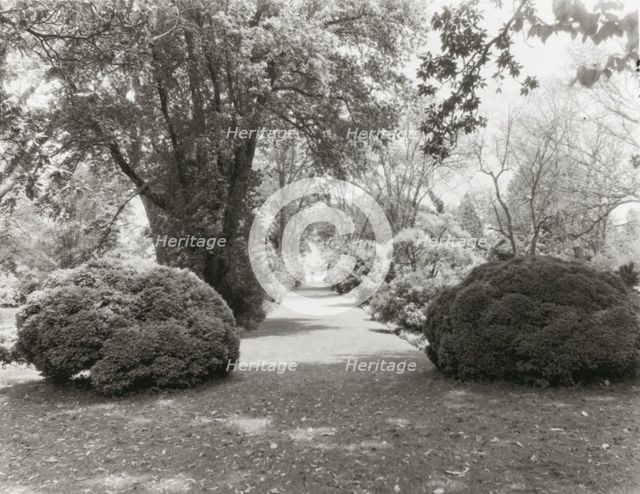 "Brandon," Robert Williams Daniel house, Prince George County, Virginia, 1928. Creator: Frances Benjamin Johnston.