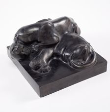 Brawling sunda panthers, 1906/1907. Creator: Franz Barwig the Elder