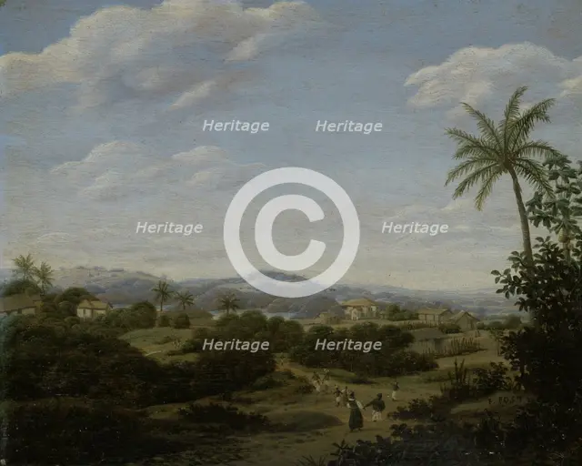 Brazilian Landscape.
