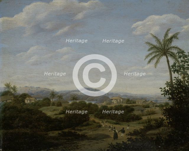 Brazilian Landscape.