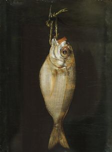 Bream, late 18th century. Creator: Bartolome Montalvo