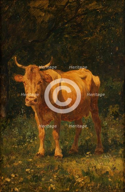 Bread-colored cow, 1889. Creator: Carl Rudolf Huber.