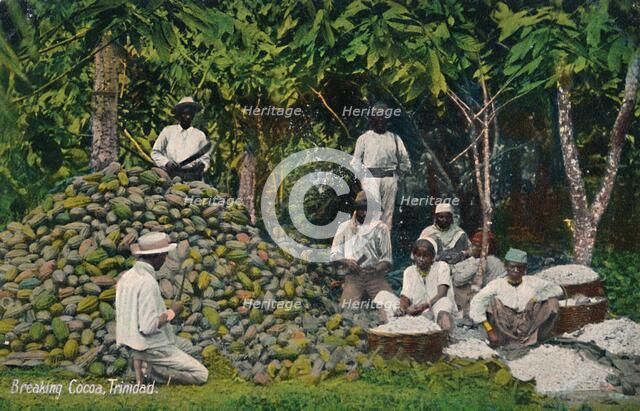 'Breaking Cocoa, Trinidad', early 20th century. Creator: Unknown.