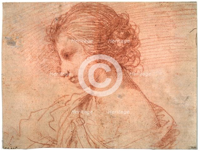 'Breast portrait of a young female', 17th century. Artist: Guercino