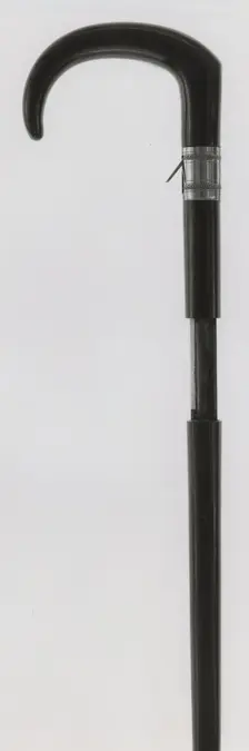 Breech-Loading Center-Fire Gun in form of a Walking Stick, Europe, 1800/1900. Creator: Unknown