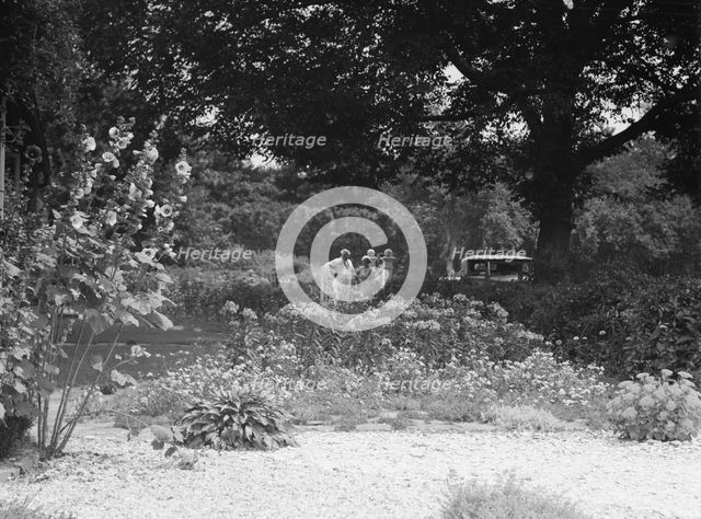Breese, James, Mr., garden, 1933 Creator: Arnold Genthe.