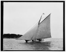 Brenda, between 1880 and 1899. Creator: Unknown