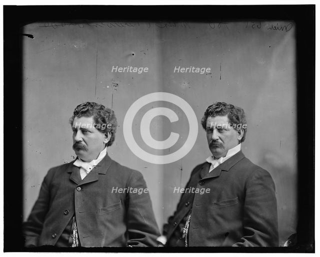 Brewer, Hon. M.S. of Mich, between 1865 and 1880. Creator: Unknown.