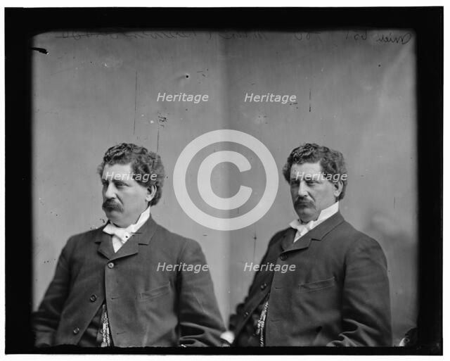 Brewer, Hon. M.S. of Mich, between 1865 and 1880. Creator: Unknown.