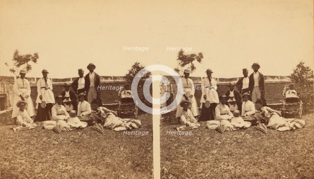 Brethern and sisters- Florida, c1850-c1930. Creator: D. J. Ryan.