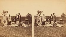 Brethern and sisters- Florida, c1850-c1930. Creator: D. J. Ryan