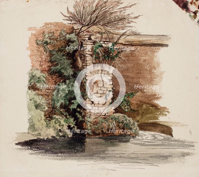 Brick wall and climbing plant, 1848-1860. Creator: Werner Holmberg.