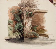 Brick wall and climbing plant, 1848-1860. Creator: Werner Holmberg